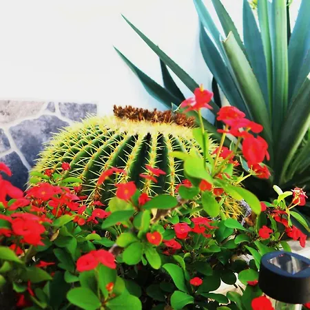 Sunny Casa vacanze Costa Adeje (Tenerife)