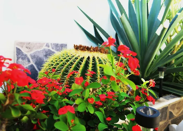 Sunny Feriehus Costa Adeje (Tenerife)